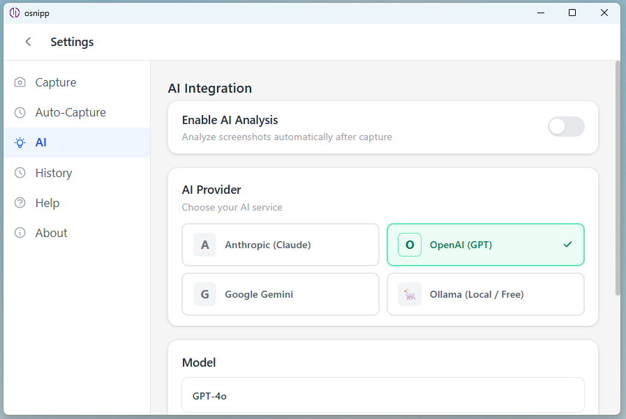 AI provider settings
